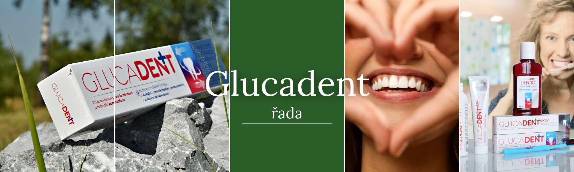 NB LI + BLOG banner (7)